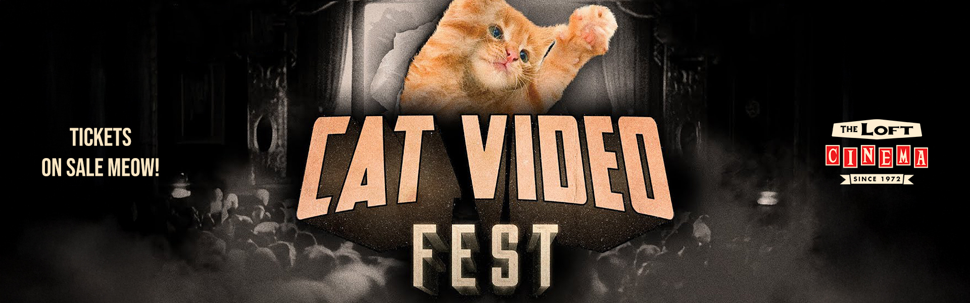 Cat Fest