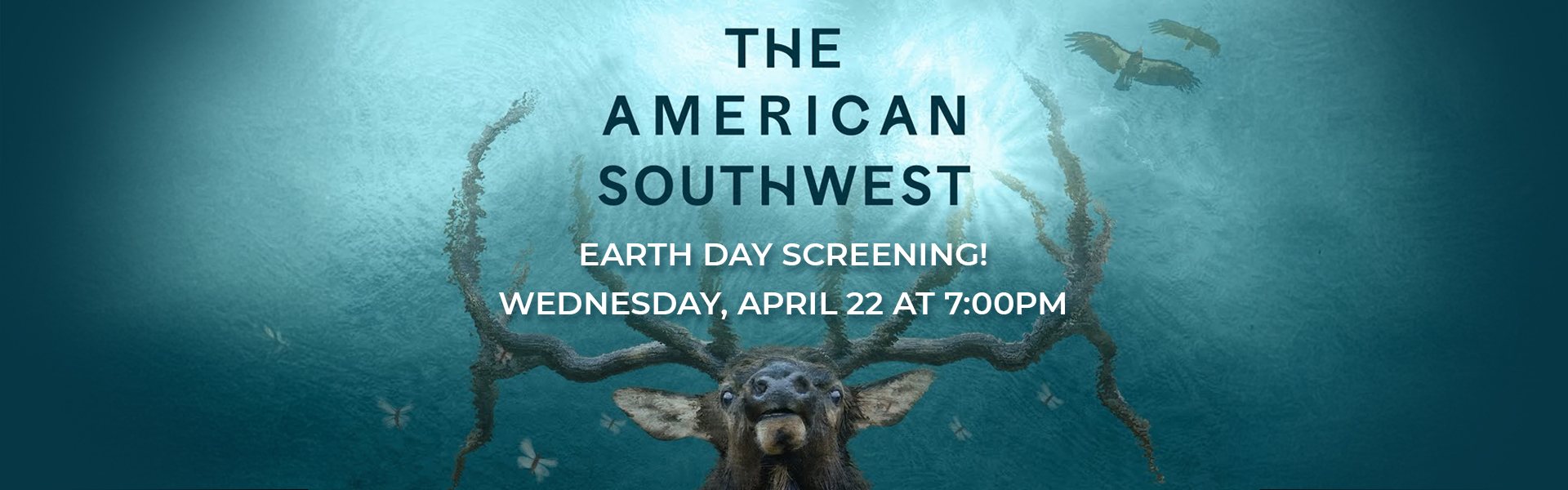 The American Southwest