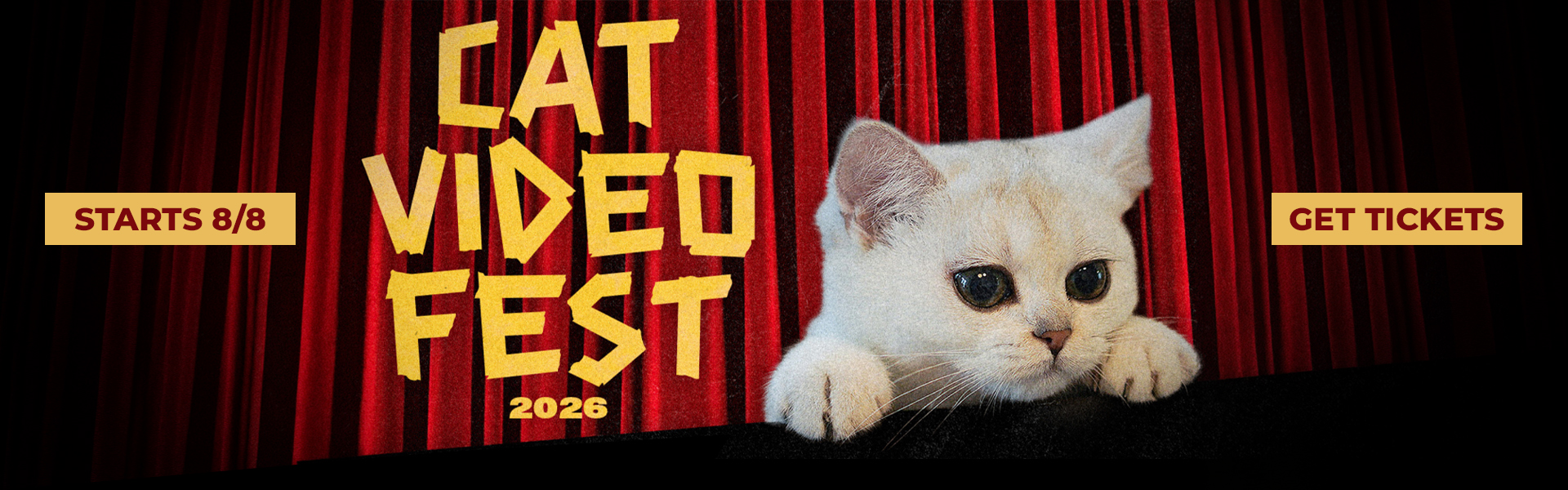 CatVideoFest 2026